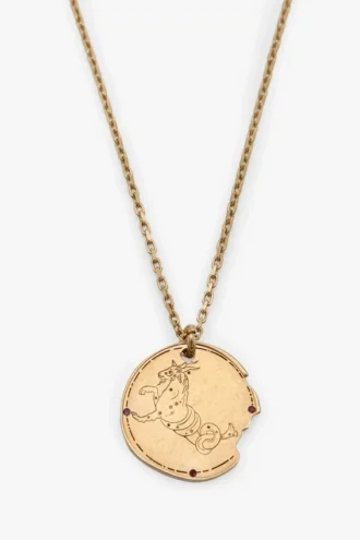 Capricorn zodiac necklace